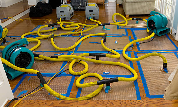 Professional Crawl Space Water Removal technician working in Crownsville, MD